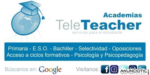 Curso 2013/2014 -Academias TeleTeacher-