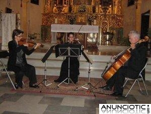 M&uacute;sica para ceremonias de Boda y coktels en Sevilla 
