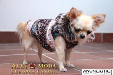 Ropa para Perros Peque&Atilde;&plusmn;os, Temporada Oto&Atilde;&plusmn;o