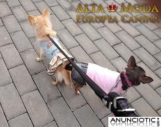 Ropa para Perros Peque&Atilde;&plusmn;os Barata