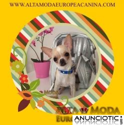 Moda Canina de Calidad y Dise&Atilde;&plusmn;o, ropa para perros unica y exclusiva