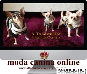 Moda Canina de Calidad y Dise&Atilde;&plusmn;o, ropa para perros unica y exclusiva
