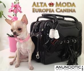 Ropa y Accesorios Caninos. Alta Moda Europea Canina