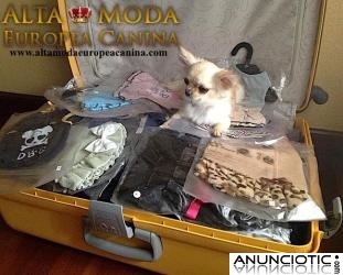 Ropa para Chihuahuas y Razas peque&Atilde;&plusmn;as