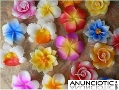 Si eres una Escort o masajista independiente, y no te gusta el sitio en el que est&aacute;s atend