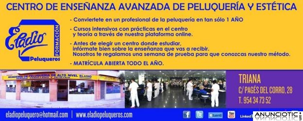 Promociones peluquer&iacute;a Sevilla