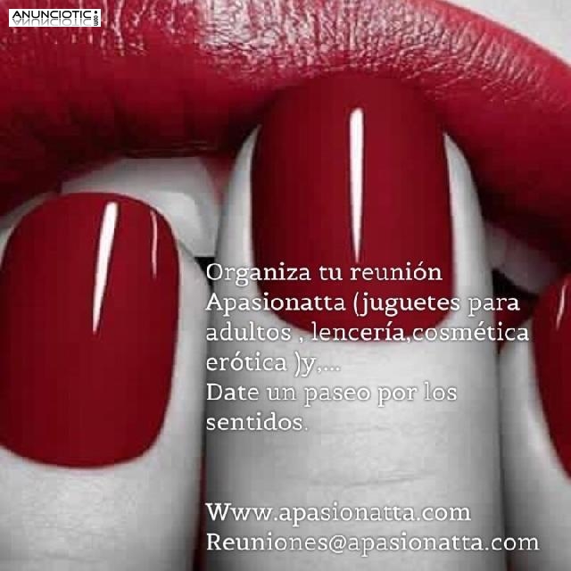 Organiza tu reuni&oacute;n apasionatta