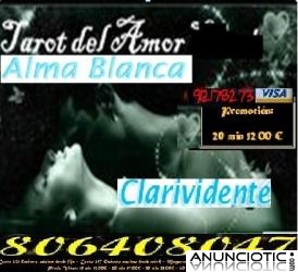 CLARIVIDENTE ALMA BLANCA, TAROT DIRECTO....806408047