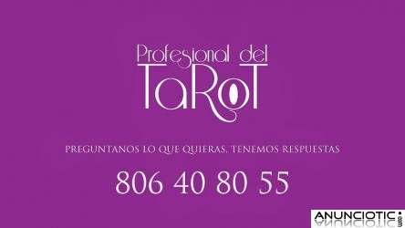 OFERTA DE TAROT