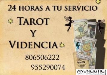 Tarot econ&oacute;mico