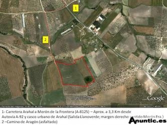 6,25 HECT&Aacute;REAS: OLIVAR + LABOR CON NAVE DE 90 M2