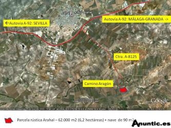 6,25 HECT&Aacute;REAS: OLIVAR + LABOR CON NAVE DE 90 M2