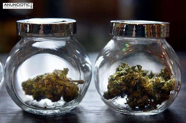 Ahora tenemos hielo kush (METAL DE CRISTAL) en stock m&aacute;s el kush
