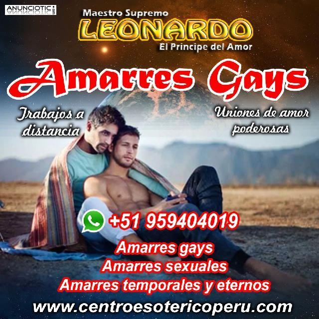 LEONARDO ESPECIALISTA EN UNIONES DEL MISMO G&Eacute;NERO