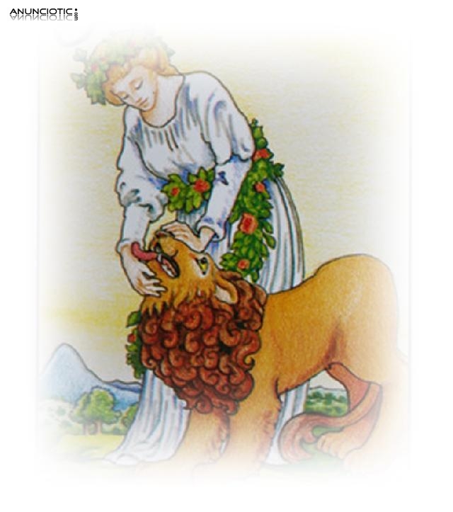 Lectura De Tarot Econ&oacute;mico Por Correo Electronico, Tarot Futuro En El Amor