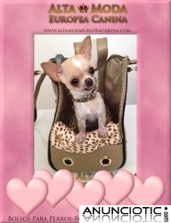 Bolsos para Perros Peque&Atilde;&plusmn;os