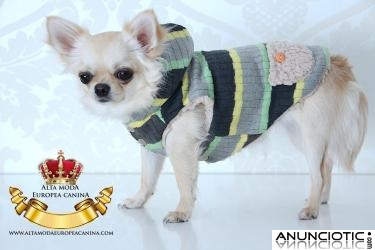 Jerseys para Perros Peque&Atilde;&plusmn;os