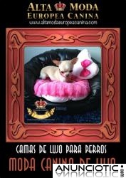 Camas de Lujo para Perros Peque&Atilde;&plusmn;os