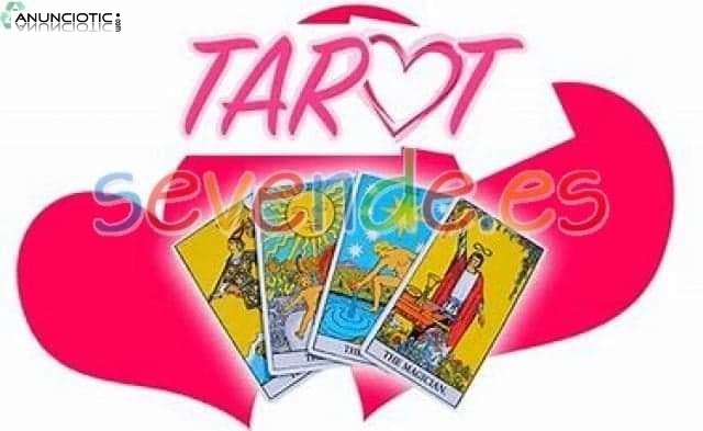Lectura de tarot la voluntad, sin l&iacute;mite de tiempo 