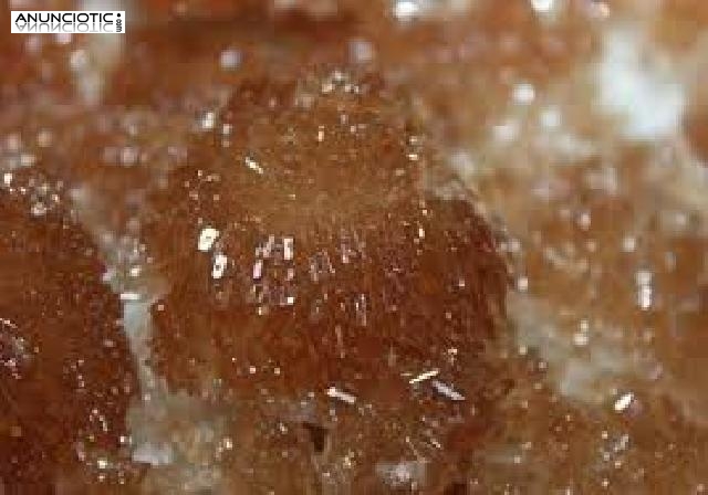 Comprar mefedrona, ketamine, MDMA, mdpv, coca&iacute;na, hero&iacute;na