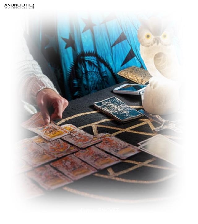 Significado De So&ntilde;ar Con Viboras, Tarot Amor Arcanos