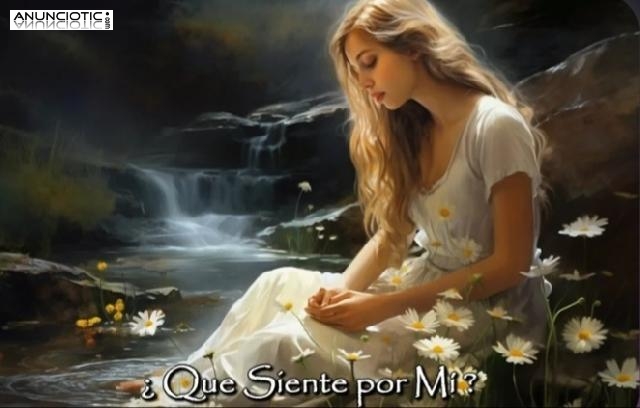 Preg&uacute;ntale al Tarot Certero de Gala