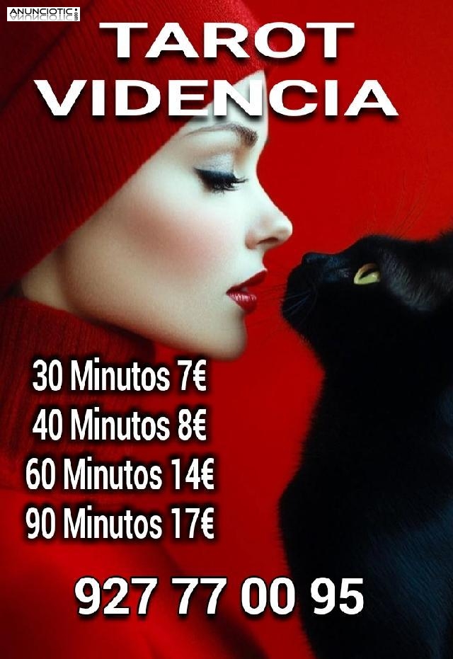  tarot, videncia y m&eacute;dium. 30 min 7�..