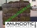 Tepecenter. C&eacute;sped en tepes y rollos de sedum en mantas o tepes