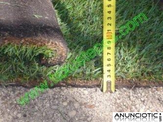 Tepecenter. C&eacute;sped en tepes y rollos de sedum en mantas o tepes