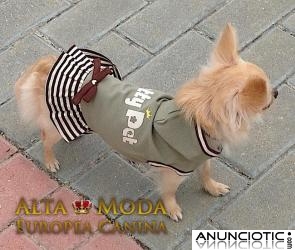Ropa perros peque&Atilde;&plusmn;os, lleva perrito moda