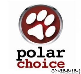 Descuento en tus cursos de Ingl&eacute;s y Alojamiento econ&oacute;mico en Londres