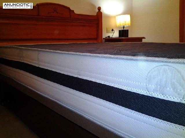 Este es su colch&oacute;n viscoel&aacute;stico