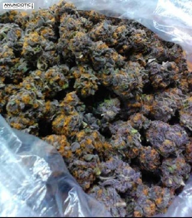 Methylone, mefedrona (4MMC), MDMA, coca&iacute;na, LSD, ketamina