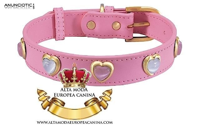 Collares para Perros Peque&ntilde;os