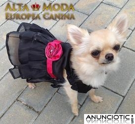 Vestidos para Perritas de Raza Peque&Atilde;&plusmn;a