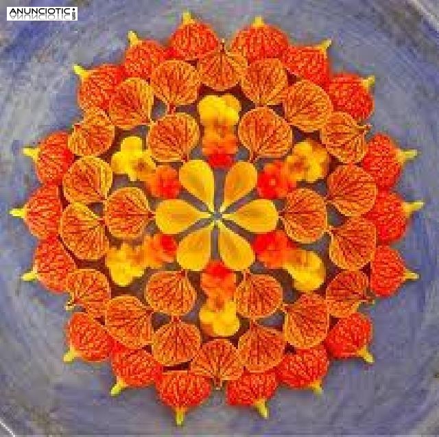 MASAJES PERINEO, , FRICCI&Oacute;N, TESTICULAR,&nbsp;Xico Valencia				