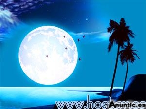 CREACI&Oacute;N DE P&Aacute;GINAS WEB ESPECTACULARES 