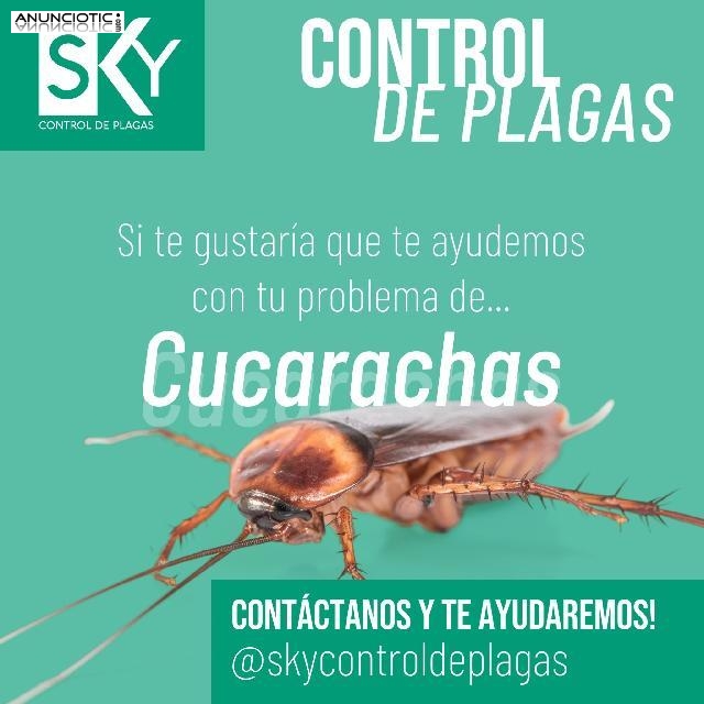 SKY Control de plagas en Valencia