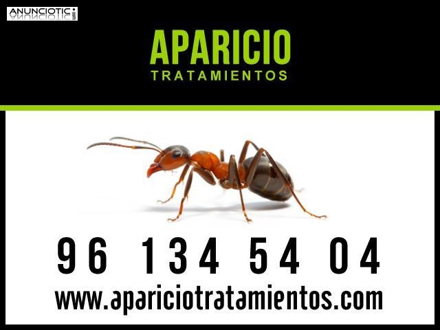 desinsectaci&oacute;n y desratizacion valencia