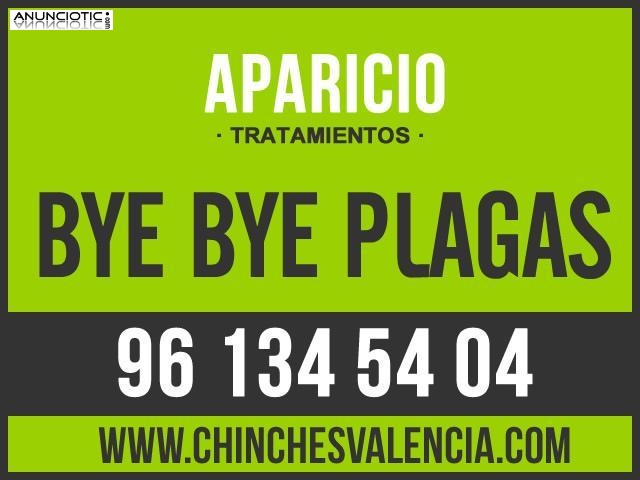Fumigaci&oacute;n en Valencia