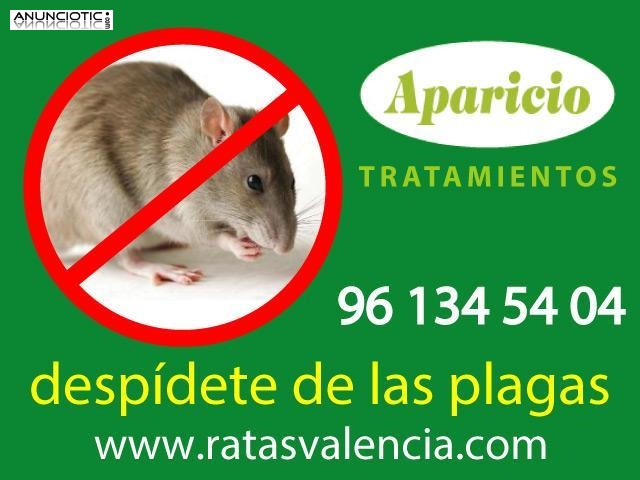 Fumigaci&oacute;n Valencia