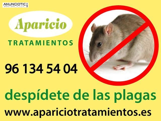 Desinsectaci&oacute;n Valencia.