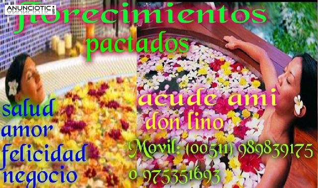 AMARRES PACTADOS LOS MAS FUERTES DEL MUNDO-DON LINO &Uacute;NICO EN LATINOAMERICA