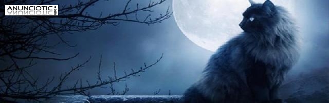 Tarot r&aacute;pido, &uacute;nico en espa&ntilde;a