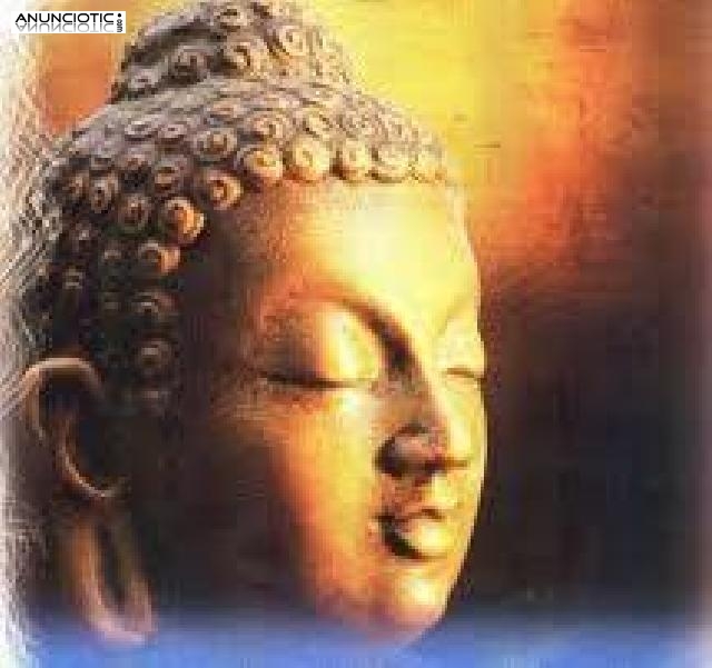 Vidente espa&ntilde;ola seria y profesional