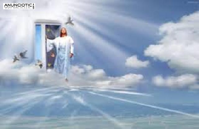 &iquest;caminas solo/a por esta vida