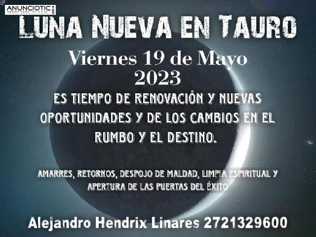 Fuertes trabajos de atracci&oacute;n LUNA NUEVA en Tauro 