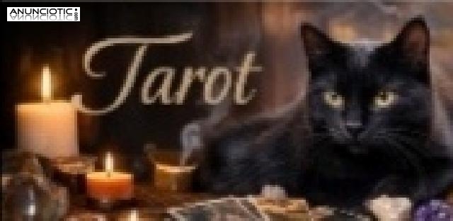 Consultas de Calidad Altos Aciertos 