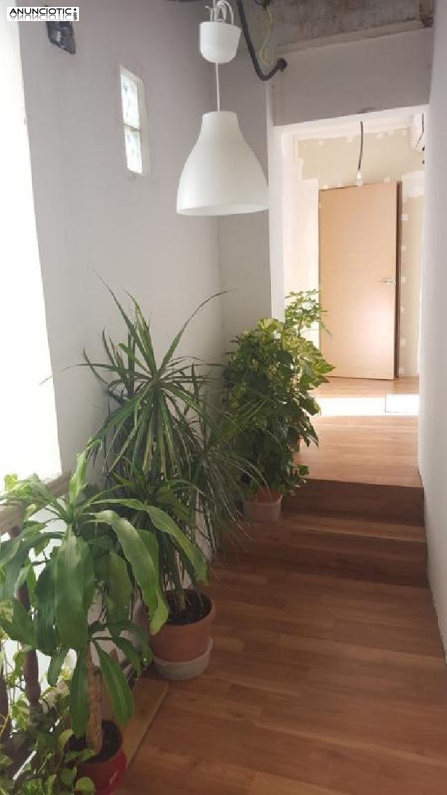 C&eacute;ntrico &aacute;tico d&uacute;plex reformado