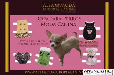 Ropa para Perros, Moda Canina de Dise&Atilde;&plusmn;o